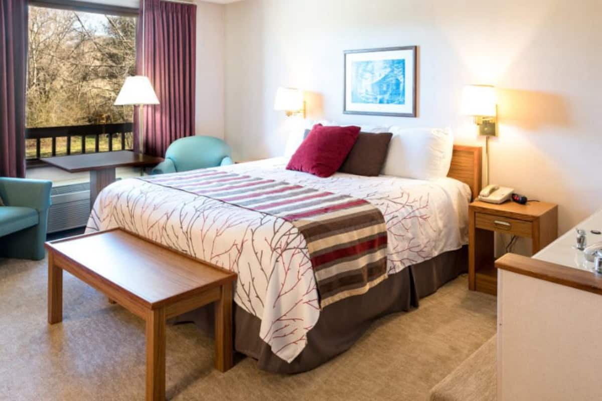 Habitación de hotel con cama, dos sillas, un banco, escritorio y ventana con cortinas.