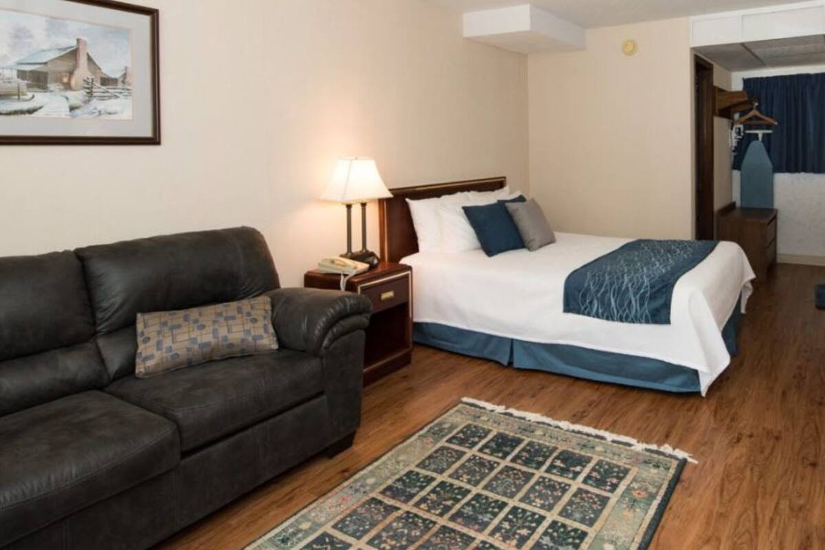 Habitación de hotel con un sofá de cuero oscuro, una cama individual con edredón azul y blanco, una mesita de noche con lámpara y un cuadro en la pared.