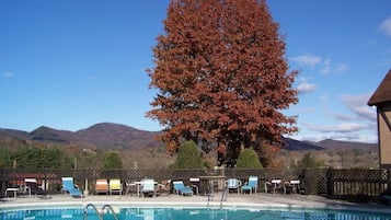 Seasonal outdoor pool, open 8:00 AM to 10:00 PM, pool umbrellas