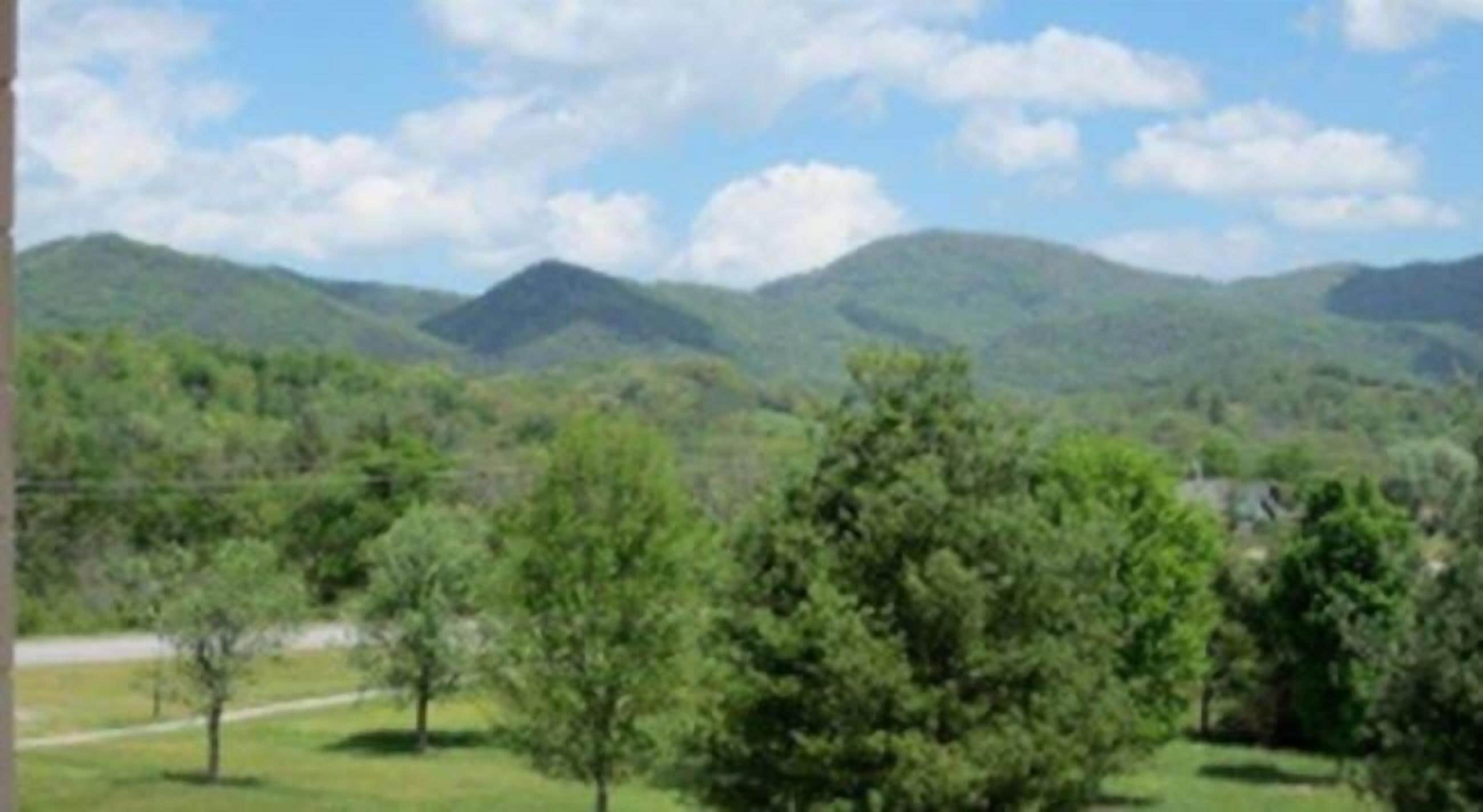 Un paisaje con colinas ondulantes y árboles.