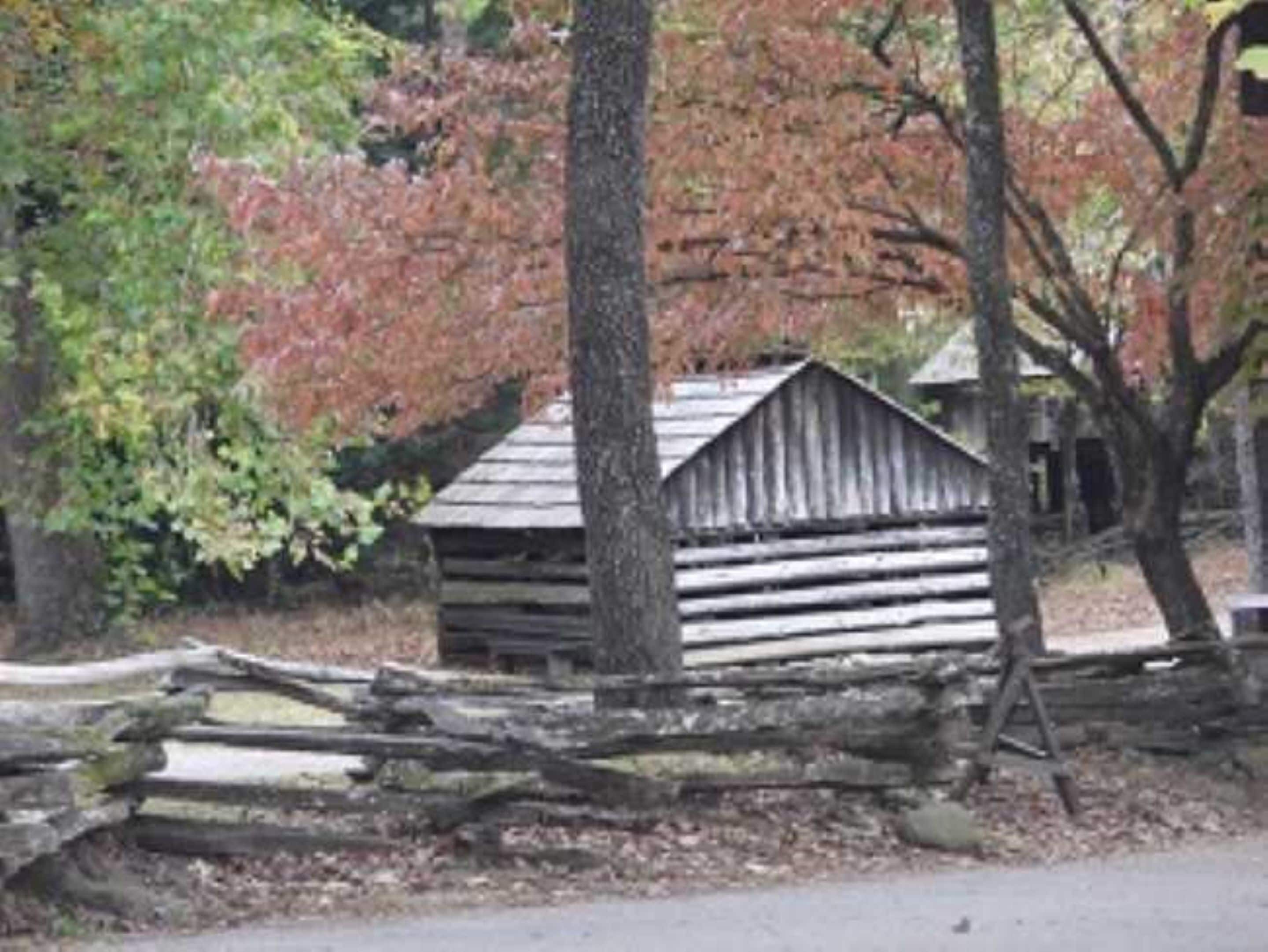 A rustic wooden cabin surrounded by trees with autumn foliage.