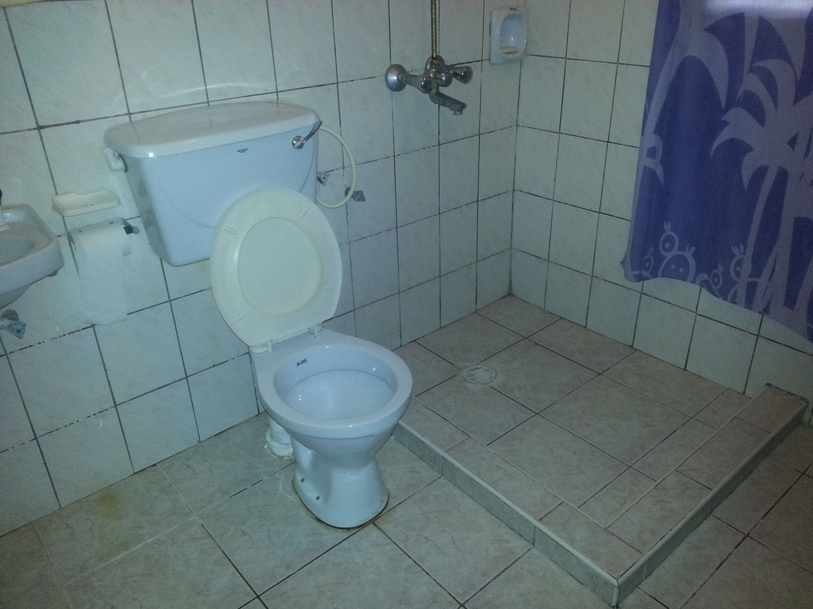 Une salle de bain avec des toilettes, un lavabo et une douche.