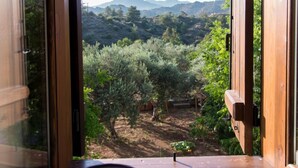 Vista desde la habitación