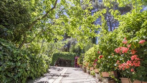 A stone pathway leading through a lush garden with green foliage and red flowers. - Kyveli Cottage (Foini)
