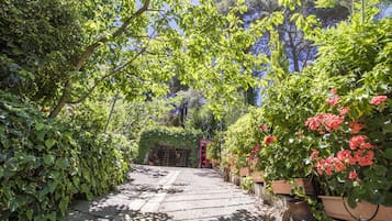 House | Terrace/patio