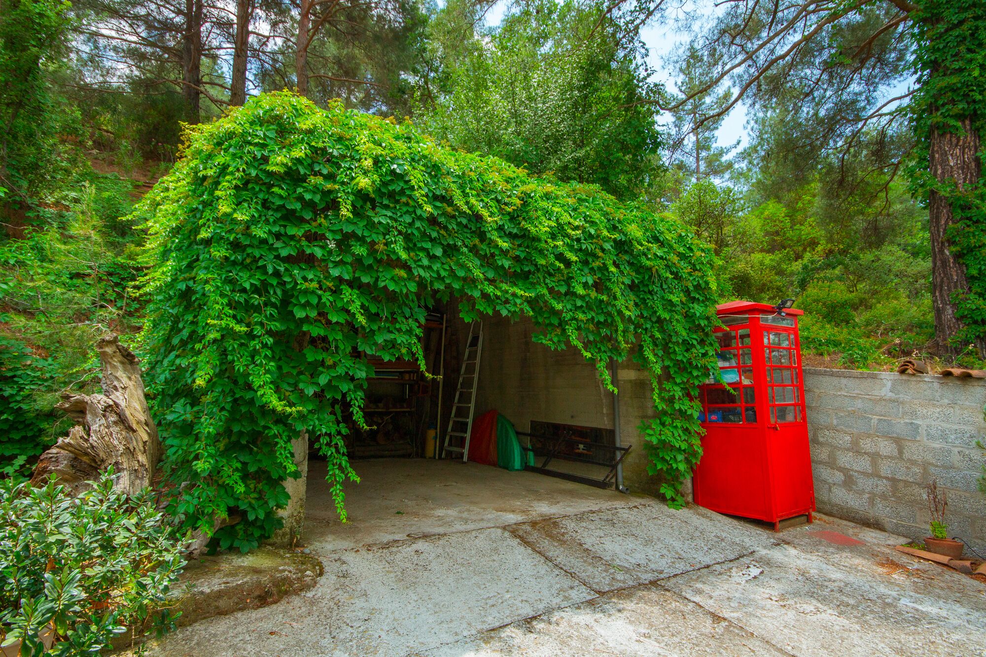 Uma cabine telefônica vermelha em área arborizada, com um caminho de concreto que leva a um edifício.