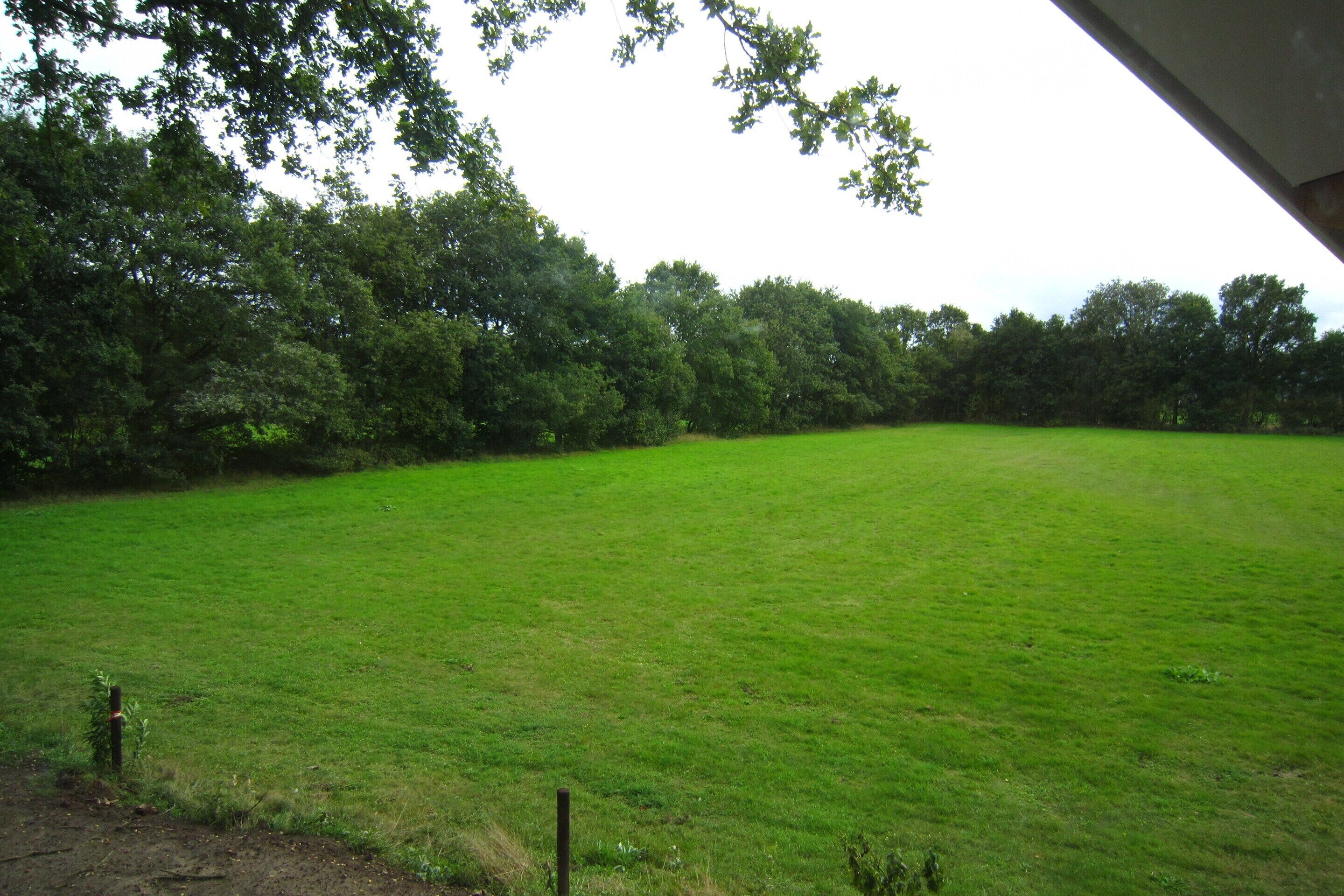 A large, open grassy field with trees in the background.