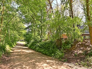 Un sentier de terre bordé d’une végétation luxuriante et verdoyante, qui mène à un bâtiment doté d’un toit en tuiles.