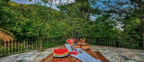 House | Terrace/patio