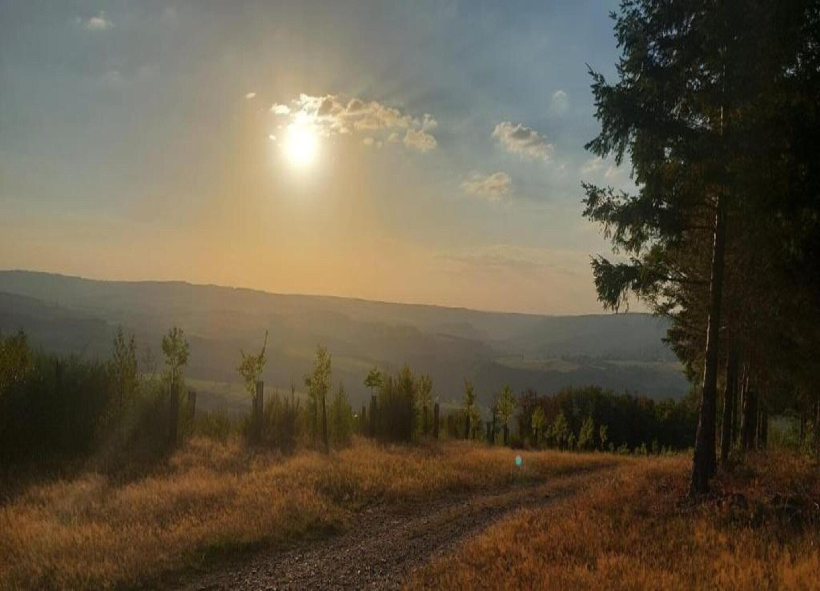 A natural landscape with a dirt path, trees, and distant hills under a clear sky.