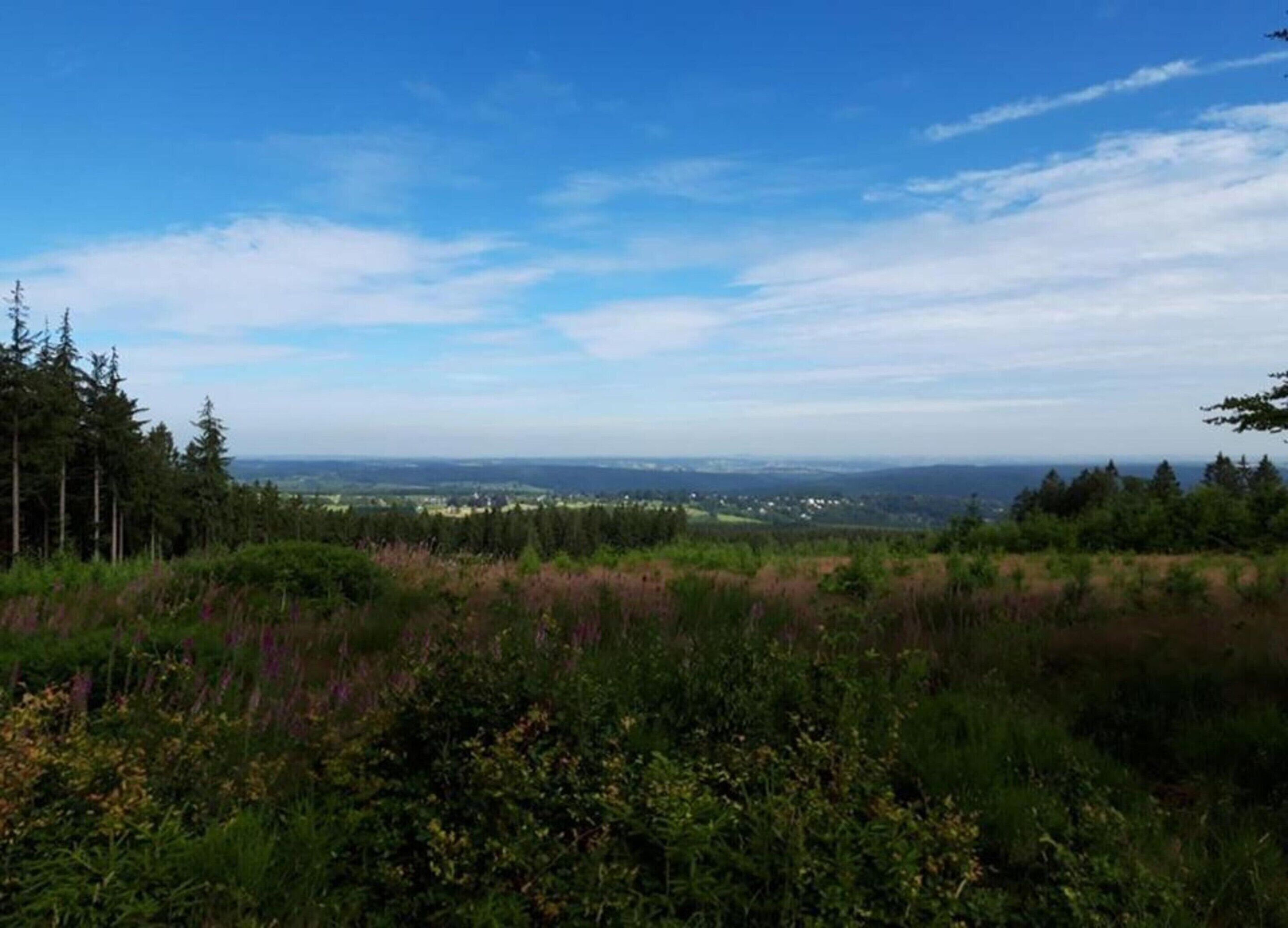 En vidsträckt vy över ett naturligt landskap med en klar himmel, en tät skog och avlägsna byggnader.