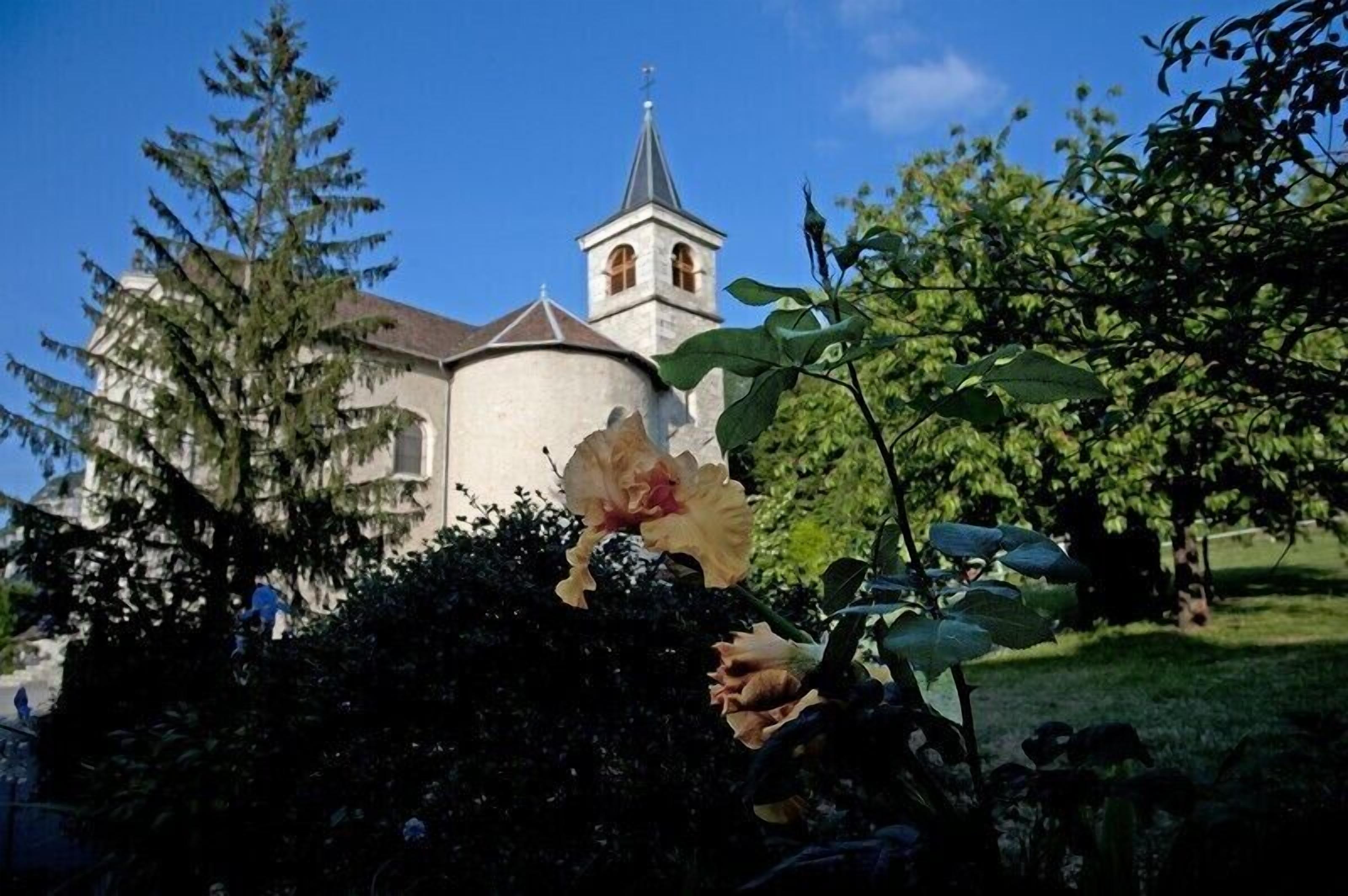 superior double or twin room | garden view