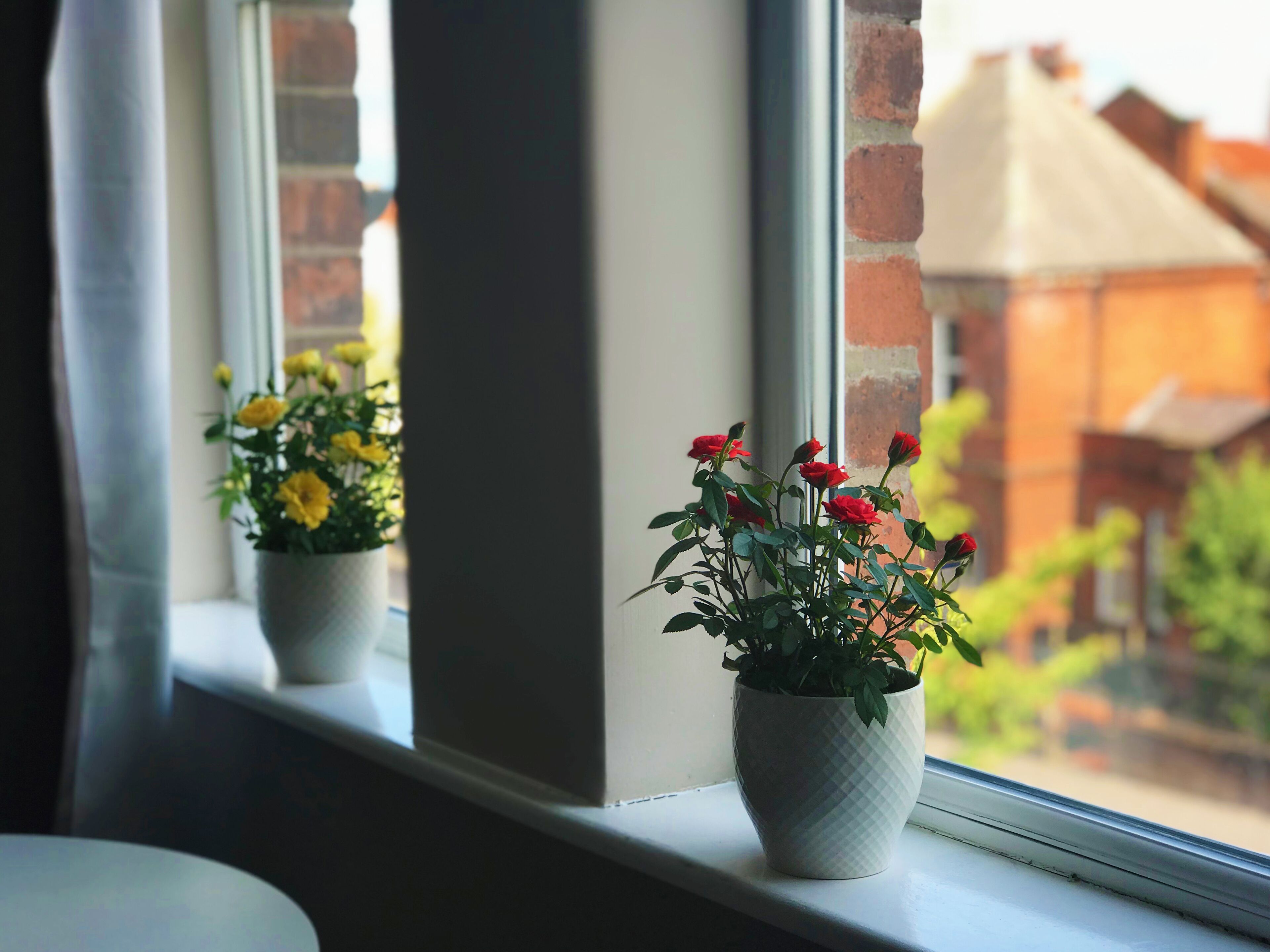 Foto - Titanic Guest Boutique Accommodation