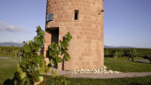 A cylindrical brick structure with a plaque, surrounded by a grassy area with grapevines. - Guesthouse wine paradise (Hochstadt (Pfalz))