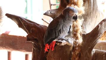 Danh thắng