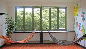 Interior - Zamia Hostel (Bucaramanga)