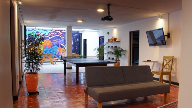 Interior - Zamia Hostel (Bucaramanga)