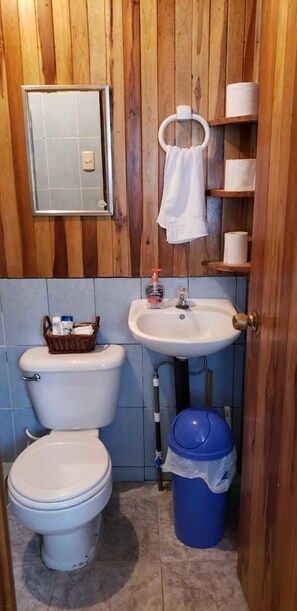 Shower, towels, soap, shampoo