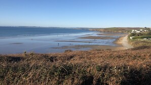 Eine Küstenlandschaft mit Strand, Wiesen und einer entfernten Ansicht von Häusern.