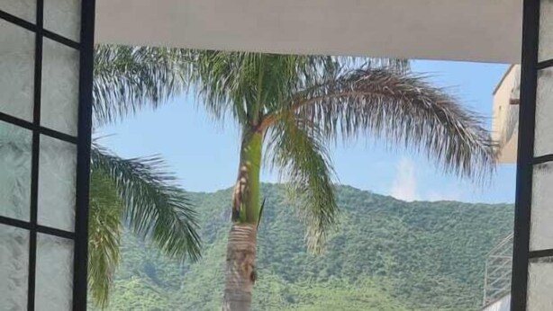 Jardim