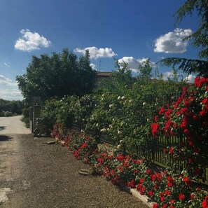 Garden - Tenuta La Rosa B&B (Campi Bisenzio)