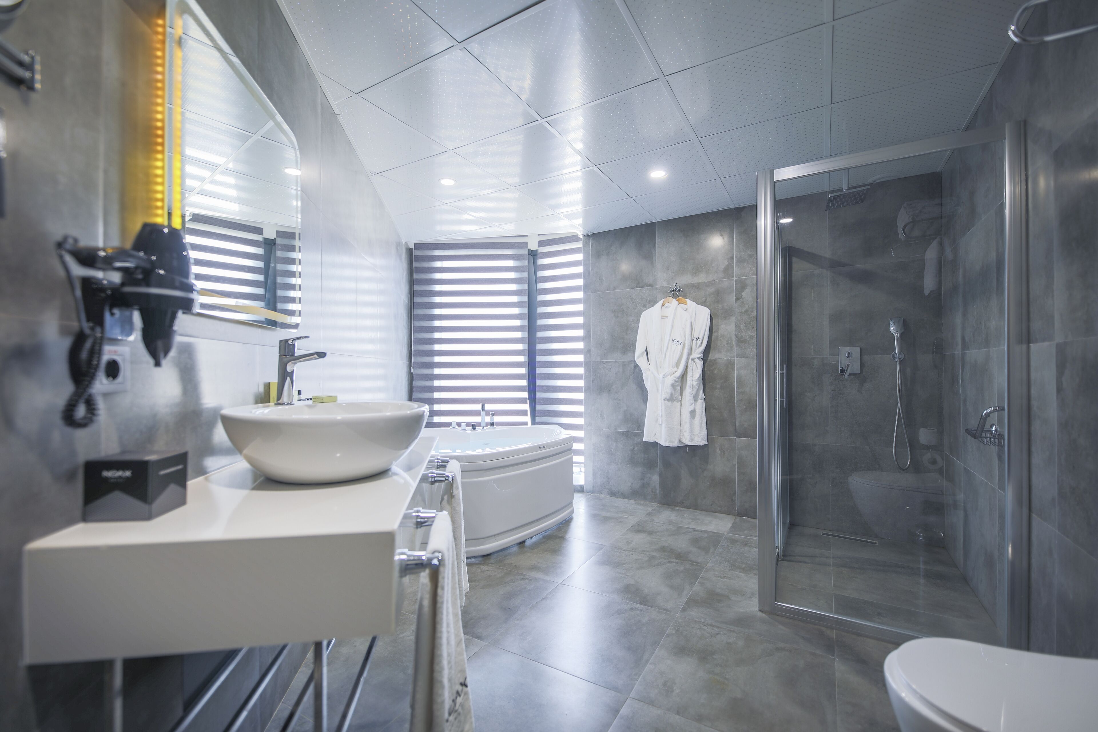 deluxe room | bathroom | shower, hydromassage showerhead, free toiletries, hair dryer