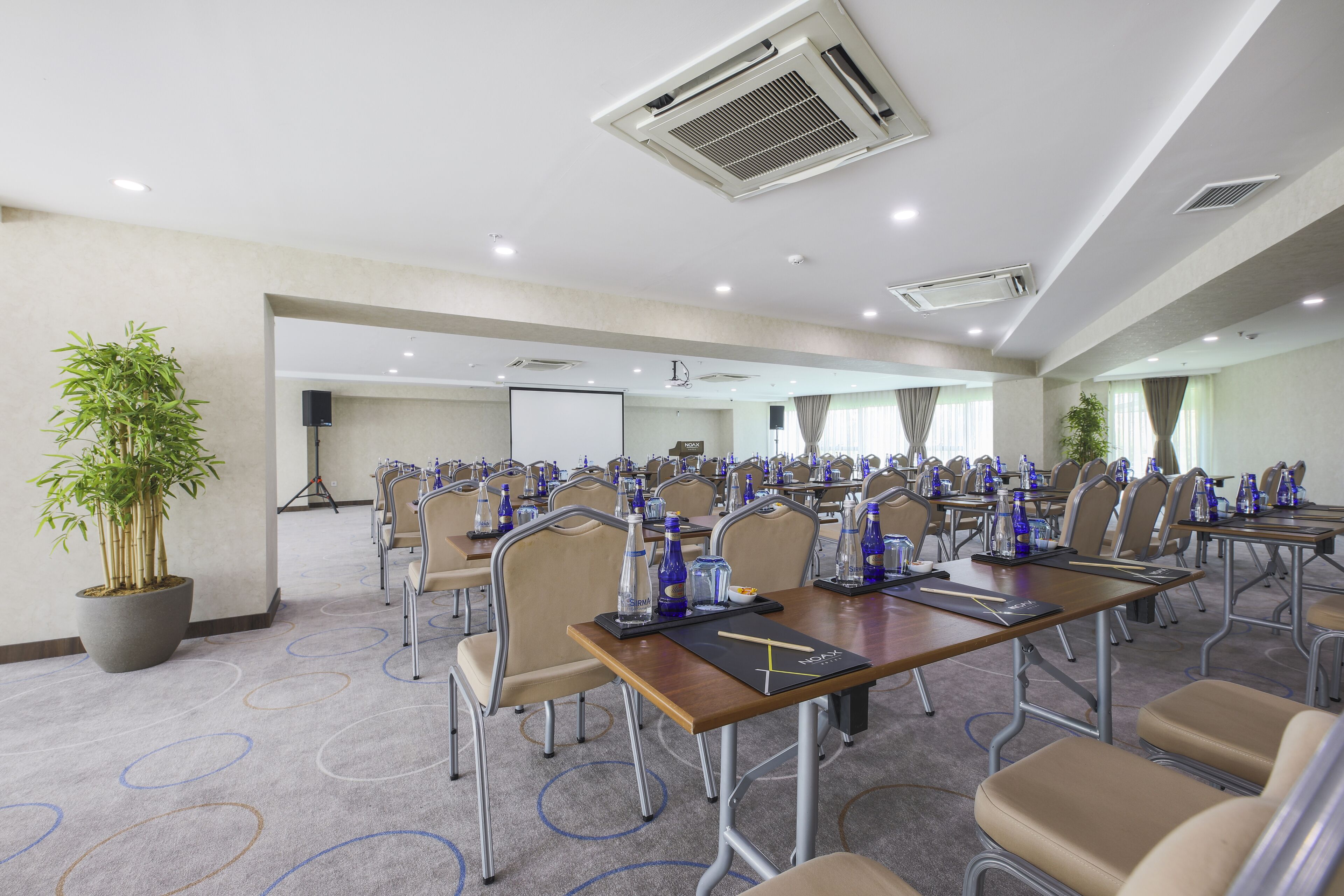 A conference room with multiple tables, chairs, and a large potted plant.