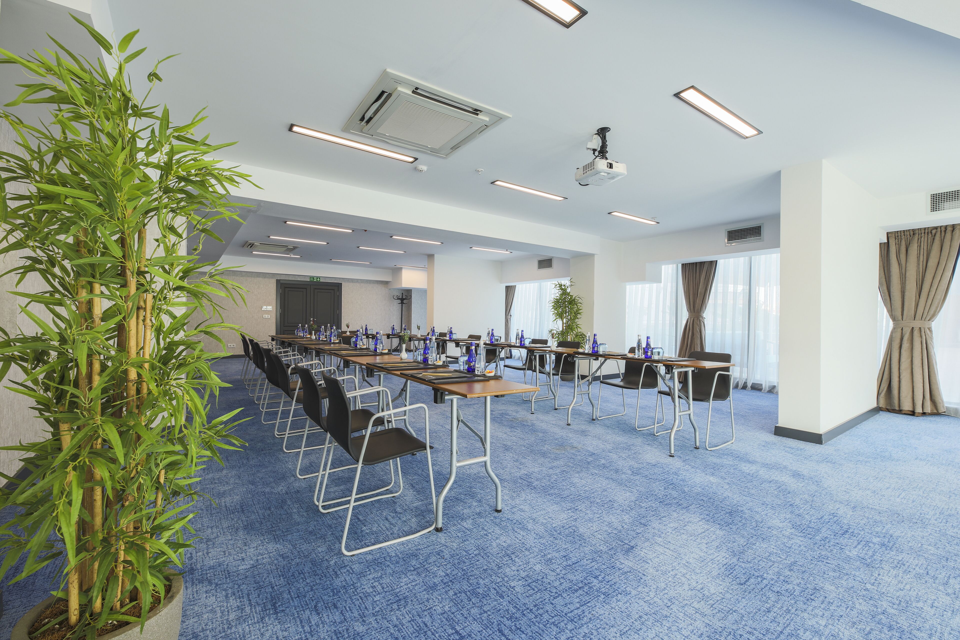 Une salle de conférence avec des rangées de tables et de chaises, une grande plante en pot et un système d’éclairage fixé au plafond.