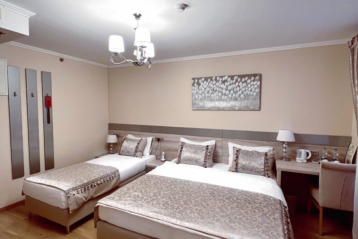 basic triple room (run of the house) | 1 bedroom, in-room safe, desk, laptop workspace