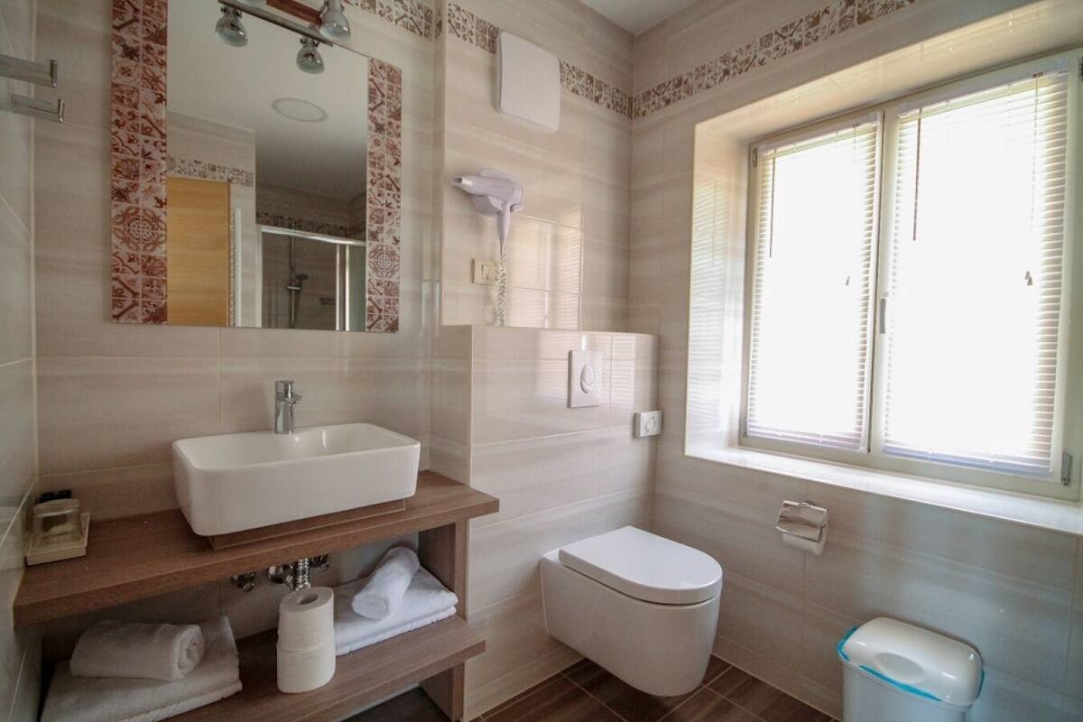 shower, free toiletries, hair dryer, towels