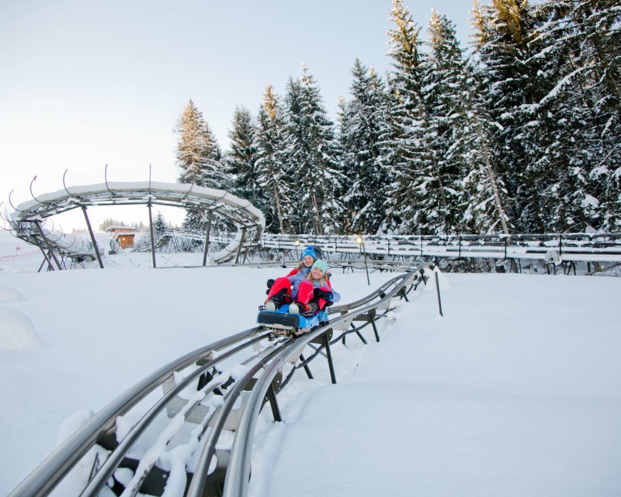 A snow-covered landscape with a sledding track and snow-covered trees.
