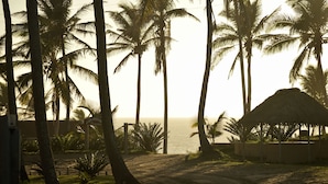 A beach scene with palm trees, a thatched-roof hut, and a dirt path leading to the sea. - Salt Dune Lodge (Jangamo)