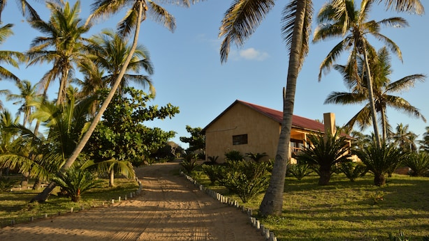 Un chemin menant à un bâtiment entouré de palmiers.