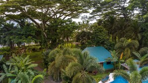 A tropical resort with a swimming pool, palm trees, and a small building.