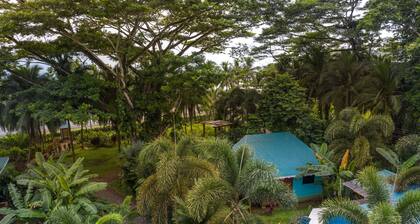 Beachfront Villas Puerto Viejo with AC & Pool!