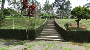 A set of stone steps leading up a grassy hill, surrounded by a fence and various plants.
