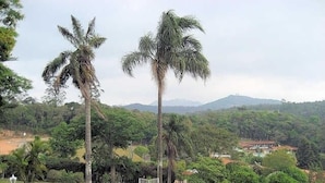 A rectangular pool with a tiled deck, surrounded by palm trees and lush greenery, with a view of distant hills.