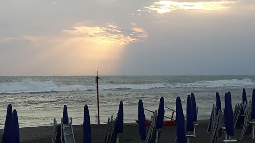 Royale house will be your special home base