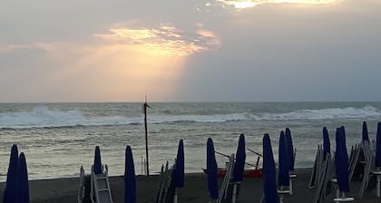 Royale house will be your special home base