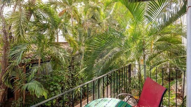 A balcony with a metal railing, surrounded by lush green foliage, including palm trees and other tropical plants.