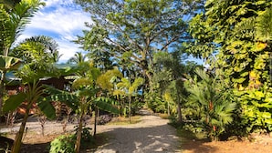 Property grounds - Beachfront Villa Starfish with AC & Pool (Puerto Viejo)