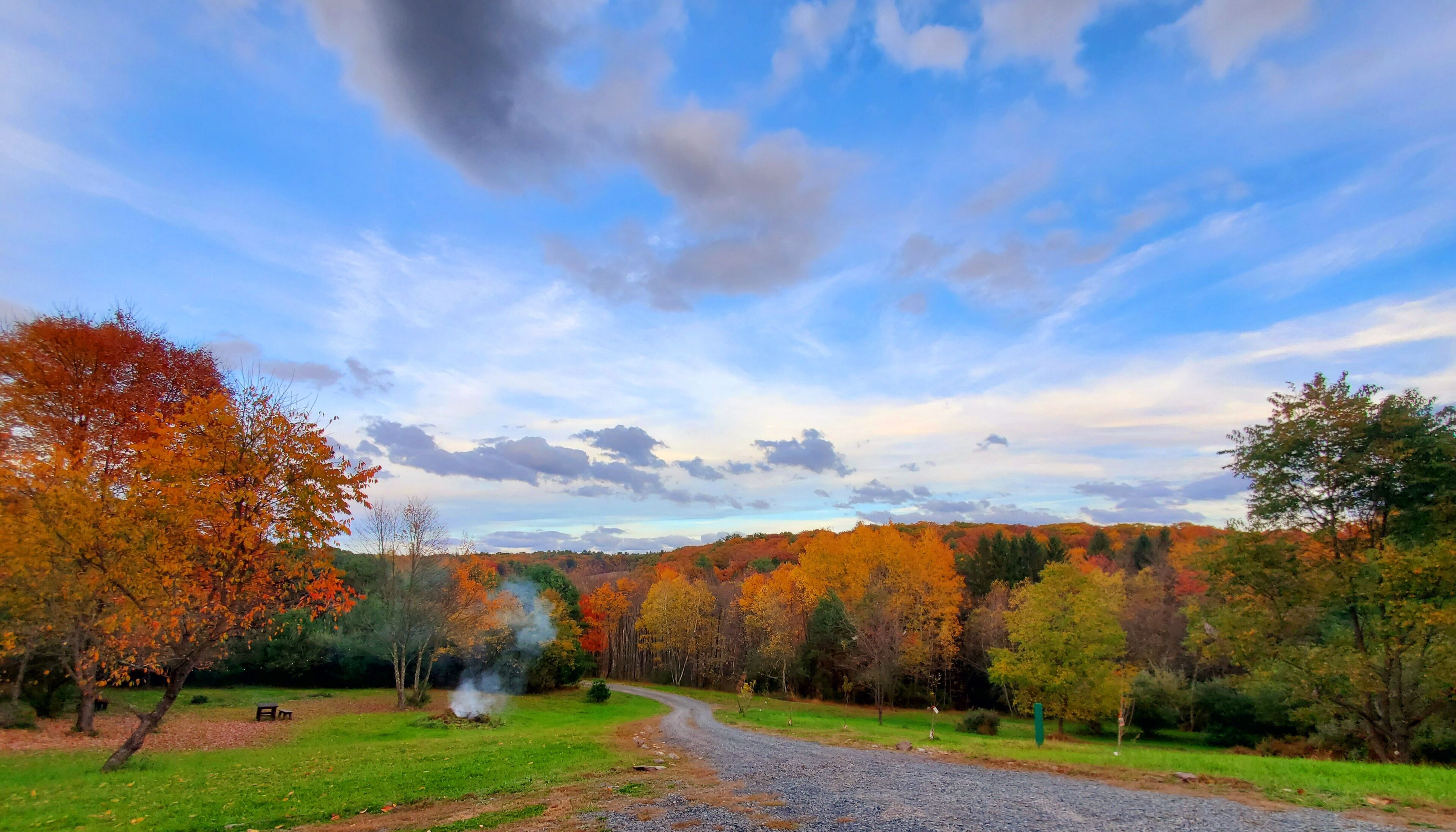Un chemin de gravier traverse un parc aux couleurs automnales, sous un ciel dégagé.