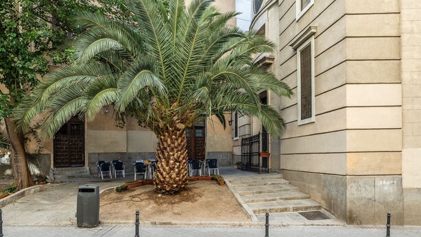 Ein Innenhof mit Palme, Sitzgelegenheit und Mülleimer.