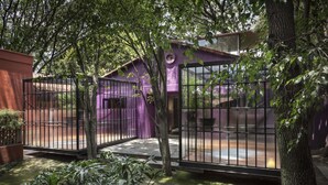 A purple building with a gated entrance, surrounded by trees and greenery. - Morada La Noria (Puebla)