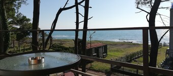 Aria Hotel Shekvetili