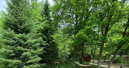 Cozy 3BR cottage on 100acres with hiking trails, firepit, woodstove & sauna