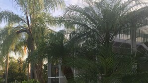 Un edificio con ampie vetrate, circondato da palme e da un'area verde.