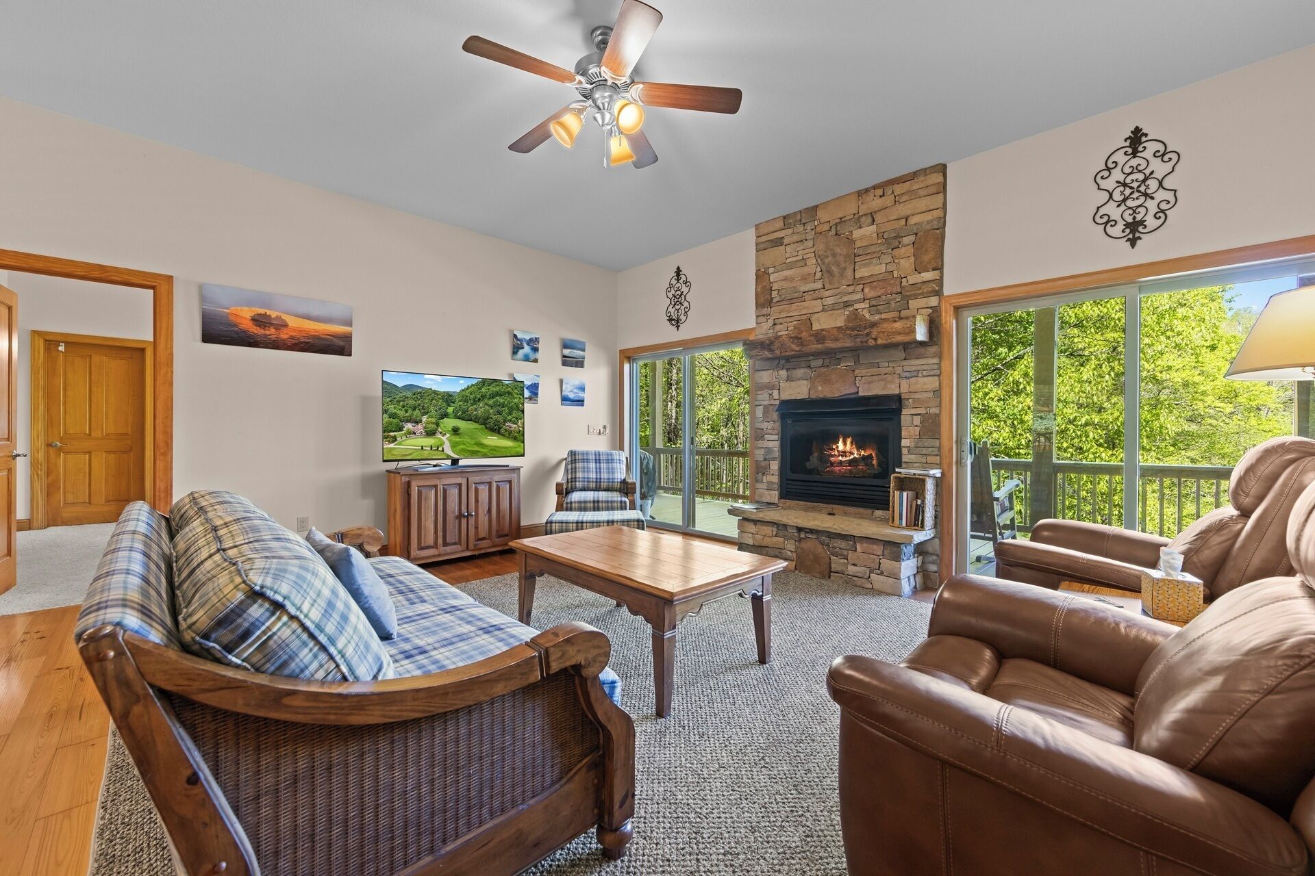 Televisor intel·ligent, llar de foc i llibres 