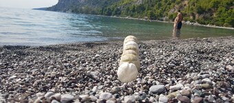 Triantafyllia's Villa