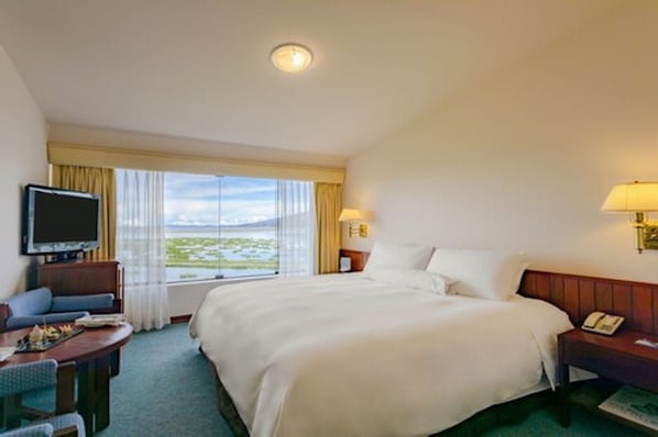 A hotel room with a large bed, a TV, a desk with a chair, and a view of the outdoors.